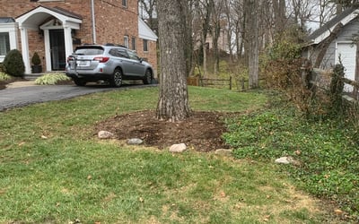 Photo of Timothy S.'s yard after getting landscaping in West College Corner, IN