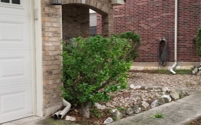 Photo of Diana H.'s yard after getting tree care in New Braunfels, TX