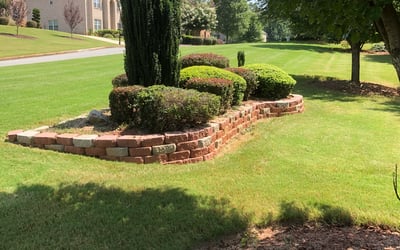 Photo of Chris S.'s yard after getting landscaping in Bostwick, GA