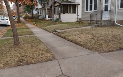 Photo of Donna C.'s yard after getting tree care in River Falls, WI