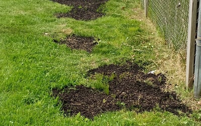 Photo of John D.'s yard after getting landscaping in Ipswich, MA