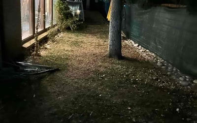 Photo of Sean C.'s yard after getting landscaping in Louviers, CO