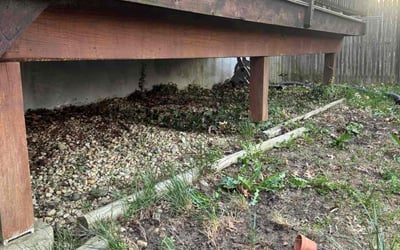 Photo of Nate B.'s yard after getting landscaping in Wilmington, DE