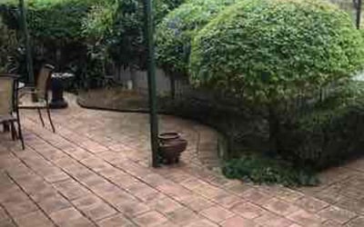 Photo of Janet W.'s yard after getting tree care in Auburn, CA