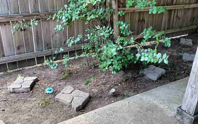 Photo of Robert S.'s yard after getting landscaping in Donaldsonville, LA