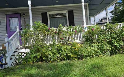 Photo of Christy B.'s yard after getting landscaping in Amherst, MA