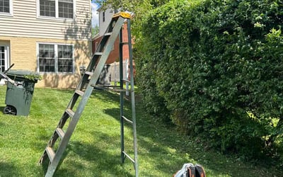 Photo of Rosa l.'s yard after getting landscaping in Broomes Island, MD