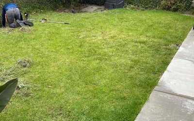 Photo of Kimberly B.'s yard after getting landscaping in Venice, CA