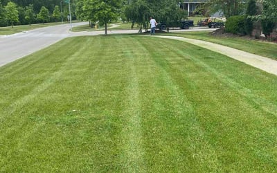 Photo of Joseph M.'s yard after getting landscaping in Elkhorn, NE