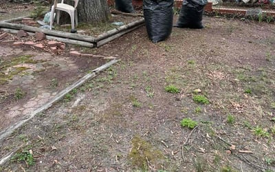 Photo of Robert H.'s yard after getting landscaping in Sandy Hook, VA