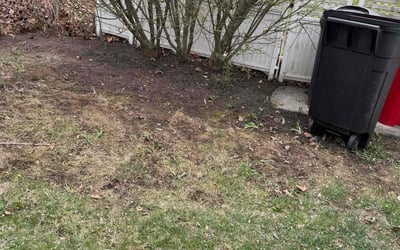 Photo of Linda M.'s yard after getting landscaping in Southfield, MI