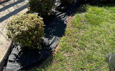 Photo of Lisa H.'s yard after getting landscaping in Shepherdstown, WV