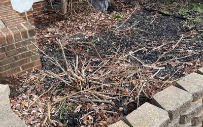 Photo of Morgan W.'s yard after getting landscaping in Paw Creek, NC