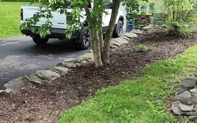 Photo of Paul J.'s yard after getting tree care in Wayne, NJ