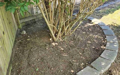 Photo of Seawon K.'s yard after getting tree care in Issaquah, WA