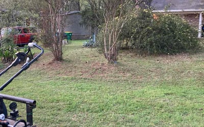 Photo of Robin C.'s yard after getting landscaping in Montgomery, TX