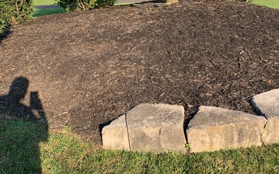 Photo of Michaela W.'s yard after getting landscaping in Polo, MO