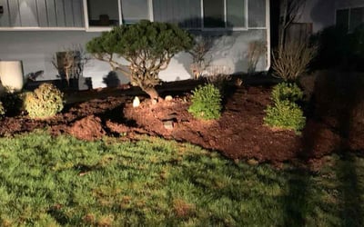 Photo of Jill S.'s yard after getting landscaping in Darrington, WA