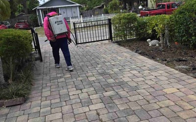 Photo of Michele W.'s yard after getting landscaping in Tampa, FL