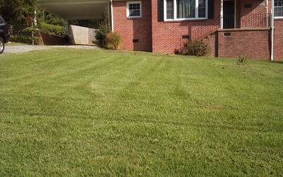 Photo of Jessica M.'s yard after getting landscaping in Ruthville, VA