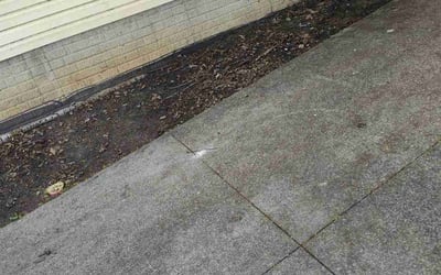 Photo of Latonya J.'s yard after getting landscaping in Cleveland, OH