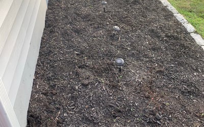 Photo of Jason R.'s yard after getting landscaping in Madison, CT