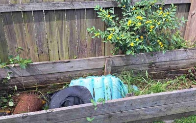 Photo of Barbara H.'s yard after getting tree care in Brooksville, FL