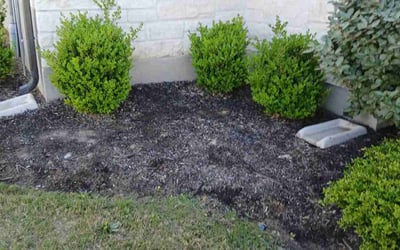 Photo of Nadia A.'s yard after getting landscaping in Lakeway, TX