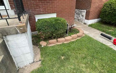 Photo of Emily W.'s yard after getting landscaping in O Fallon, IL