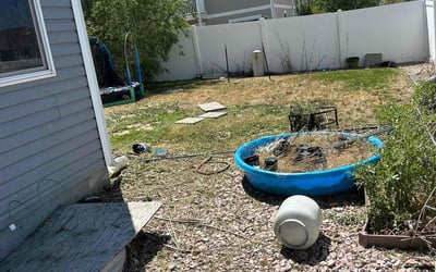Photo of Philip H.'s yard after getting landscaping in Bailey, CO