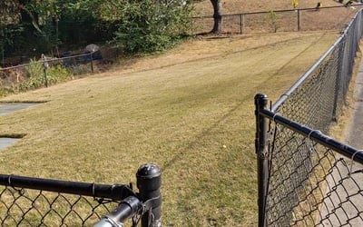 Photo of Rashell O.'s yard after getting landscaping in Issue, MD