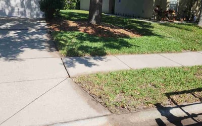 Photo of Eric M.'s yard after getting landscaping in Hudson, FL