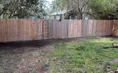 Photo of Abby W.'s yard after getting landscaping in Hampton, VA