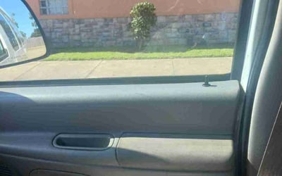 Photo of Steve K.'s yard after getting tree care in Baton Rouge, LA