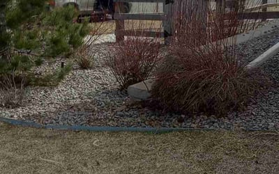 Photo of Christopher H.'s yard after getting landscaping in Evergreen, CO