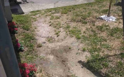 Photo of Peter B.'s yard after getting landscaping in Pierson, FL