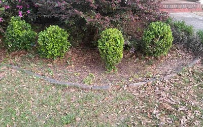 Photo of Bryan G.'s yard after getting tree care in Birmingham, AL