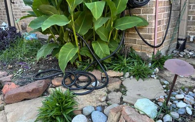Photo of Tom B.'s yard after getting landscaping in North Richland Hills, TX