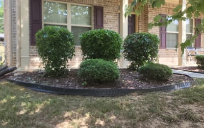 Photo of Allen J.'s yard after getting tree care in Dallas, GA