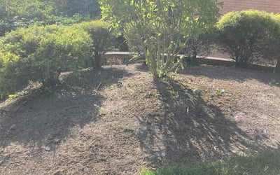 Photo of Kenneth T.'s yard after getting landscaping in Corinth, KY
