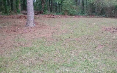 Photo of Greg B.'s yard after getting landscaping in Tucker, GA