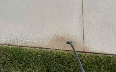 Photo of Moe W.'s yard after getting tree care in Waxahachie, TX