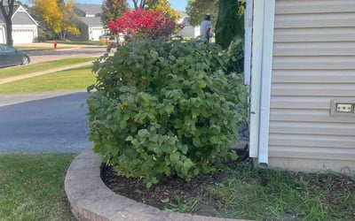 Photo of Rhonda S.'s yard after getting landscaping in Dundee, IL