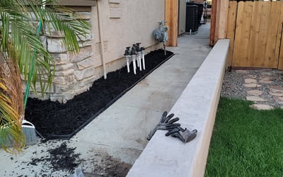 Photo of Jason J.'s yard after getting landscaping in Pine Valley, CA