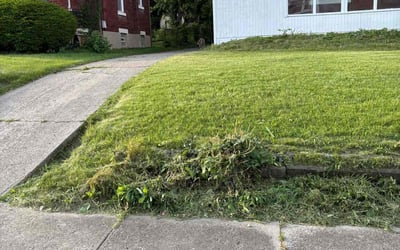 Photo of Christopher S.'s yard after getting landscaping in Moscow, OH