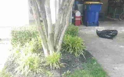 Photo of Kevin R.'s yard after getting landscaping in Hume, VA