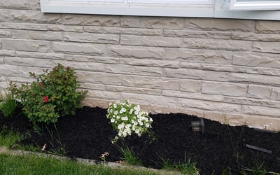 Photo of Sean M.'s yard after getting landscaping in Medford, NJ