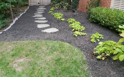 Photo of Deborah W.'s yard after getting landscaping in Paris, VA