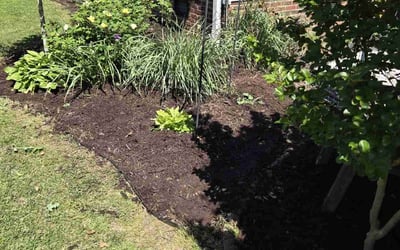Photo of Mary C.'s yard after getting landscaping in Kenly, NC