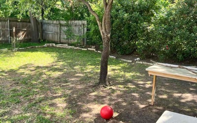 Photo of Tyler M.'s yard after getting landscaping in Bedford, TX